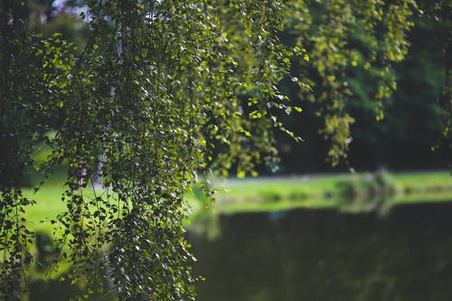 虎丘游玩时间？ 虎丘景区游玩大概多少时？虎丘景区游玩大概多？